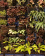 Vertical Garden | Art#0015 | Includes 2 Free Site Visits | More Details With The Description