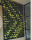 Vertical Garden | Art#0017 | Includes 2 Free Site Visits | More Details With The Description