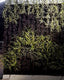 Vertical Garden | Art#0004 | Includes 2 Free Site Visits | More Details With The Description