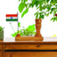 Wooden Ashoka Pillar And National Flag Beautiful set of 50 pc