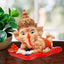 Lord Ganesha Sliping Reading Book Showpiec
