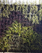 Vertical Garden | Art#0007 | Includes 2 Free Site Visits | More Details With The Description