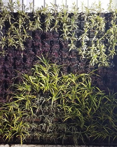 Vertical Garden | Art#0007 | Includes 2 Free Site Visits | More Details With The Description