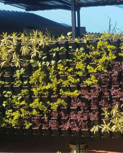 Vertical Garden | Art#0008 | Includes 2 Free Site Visits | More Details With The Description Secondary image