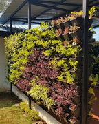 Vertical Garden | Art#0008 | Includes 2 Free Site Visits | More Details With The Description