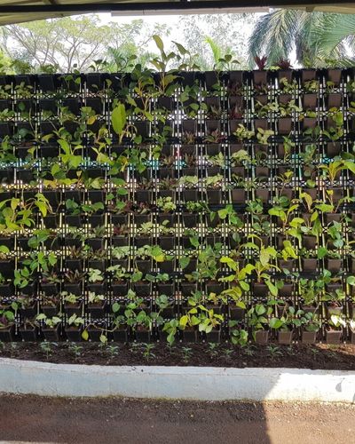 Vertical Garden | Art#0009 | Includes 2 Free Site Visits | More Details With The Description