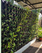 Vertical Garden | Art#0009 | Includes 2 Free Site Visits | More Details With The Description