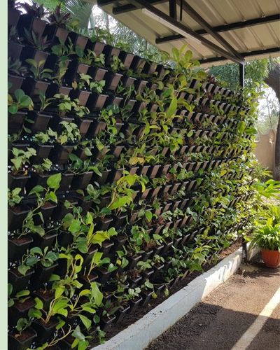 Vertical Garden | Art#0009 | Includes 2 Free Site Visits | More Details With The Description