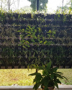 Vertical Garden | Art#0010 | Includes 2 Free Site Visits | More Details With The Description
