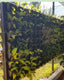 Vertical Garden | Art#0010 | Includes 2 Free Site Visits | More Details With The Description