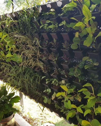 Vertical Garden | Art#0010 | Includes 2 Free Site Visits | More Details With The Description Secondary image