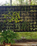 Vertical Garden | Art#0011 | Includes 2 Free Site Visits | More Details With The Description