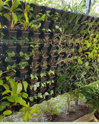 Vertical Garden | Art#0011 | Includes 2 Free Site Visits | More Details With The Description