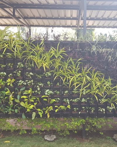 Vertical Garden | Art#0012 | Includes 2 Free Site Visits | More Details With The Description