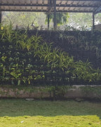 Vertical Garden | Art#0013 | Includes 2 Free Site Visits | More Details With The Description