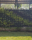 Vertical Garden | Art#0013 | Includes 2 Free Site Visits | More Details With The Description