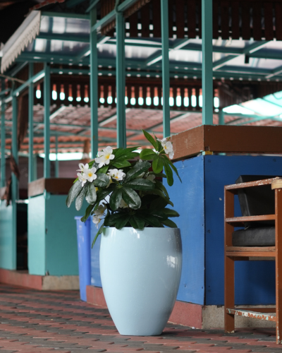 Apple Shape/Tulip Planter PL-04 | 42x56 CM