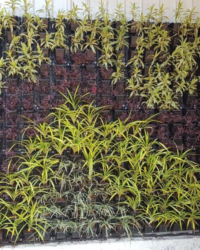 Vertical Garden | Art#0014 | Includes 2 Free Site Visits | More Details With The Description