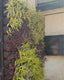 Vertical Garden | Art#0014 | Includes 2 Free Site Visits | More Details With The Description