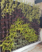 Vertical Garden | Art#0014 | Includes 2 Free Site Visits | More Details With The Description