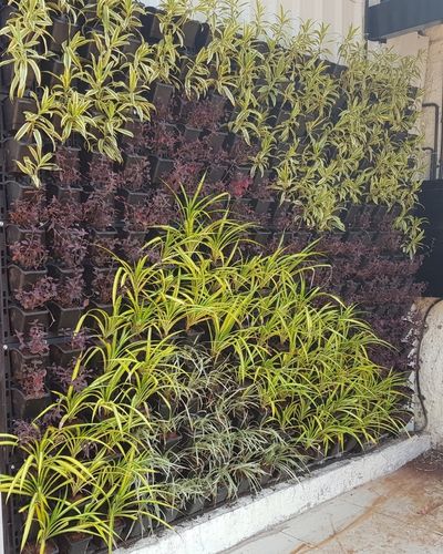 Vertical Garden | Art#0014 | Includes 2 Free Site Visits | More Details With The Description