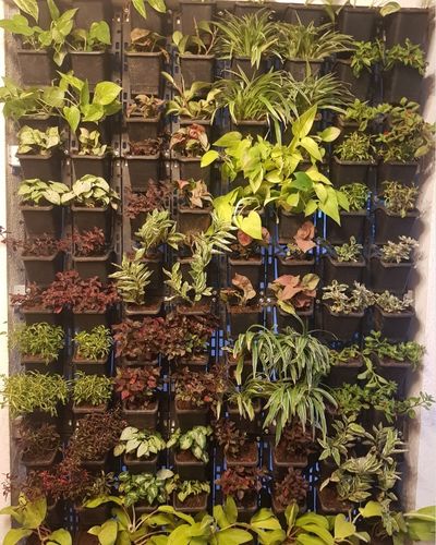Vertical Garden | Art#0015 | Includes 2 Free Site Visits | More Details With The Description