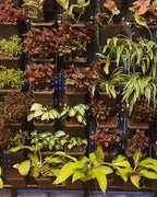Vertical Garden | Art#0015 | Includes 2 Free Site Visits | More Details With The Description