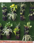 Vertical Garden | Art#0016 | Includes 2 Free Site Visits | More Details With The Description