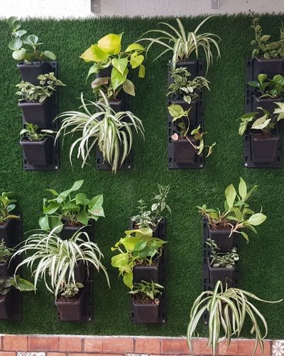 Vertical Garden | Art#0016 | Includes 2 Free Site Visits | More Details With The Description