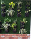 Vertical Garden | Art#0016 | Includes 2 Free Site Visits | More Details With The Description