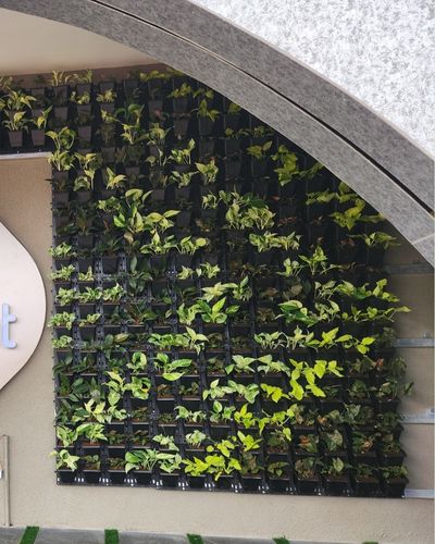 Vertical Garden | Art#0017 | Includes 2 Free Site Visits | More Details With The Description