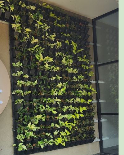Vertical Garden | Art#0017 | Includes 2 Free Site Visits | More Details With The Description Main image