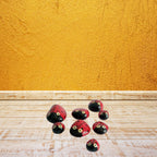 Beautiful Painting Stones Showpiece 5 Pcs