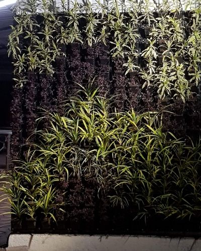 Vertical Garden | Art#0004 | Includes 2 Free Site Visits | More Details With The Description