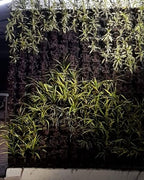 Vertical Garden | Art#0004 | Includes 2 Free Site Visits | More Details With The Description