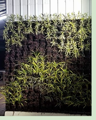 Vertical Garden | Art#0004 | Includes 2 Free Site Visits | More Details With The Description