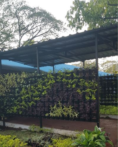 Vertical Garden | Art#0005 | Includes 2 Free Site Visits | More Details With The Description
