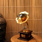 Wooden Brass Gramophone Retro Age Showpiece