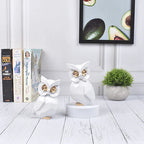 Attractive Owl Polyresin Showpiece Set Of 2 - White