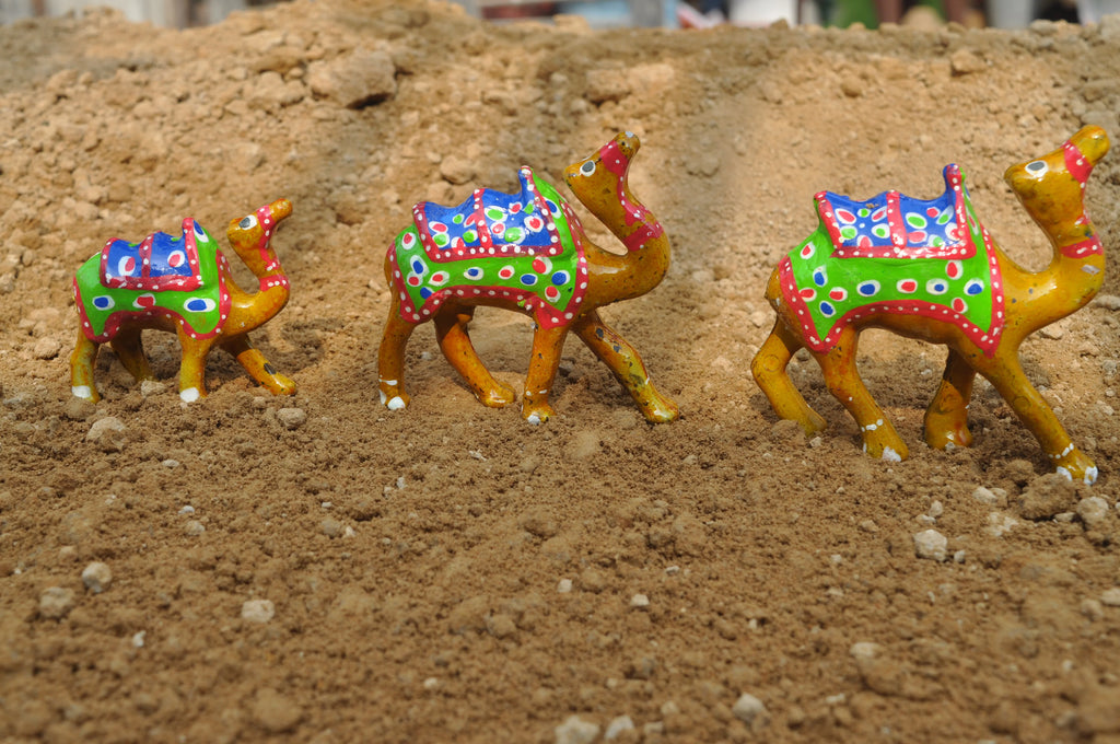 Wooden Camel For Decoration Set of 3
