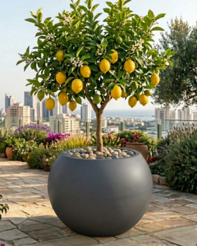 Globe/Matki Shaped PL-13 |52x52 CM