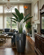 Modern Tall FRP Planter PL-02|33x56 CM