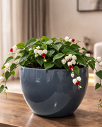 Round, convex, "apple-shaped," or potbelly PL-06 | 40x28 CM