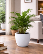 Tapered Round Convex PL-07| 30x30 CM