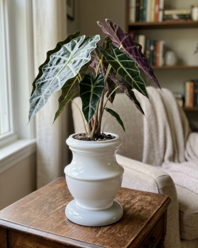 FRP Planter PL-10 | 17x29 CM Main image