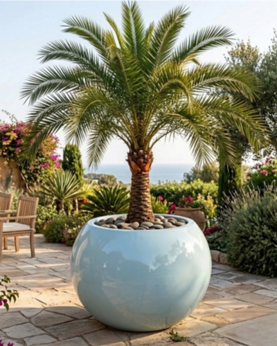 Globe/Matki Shaped PL-11| 86x86 CM Main image