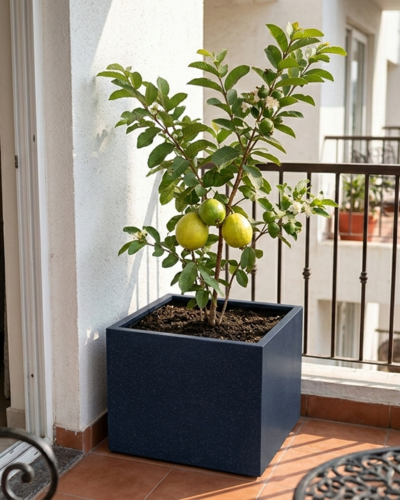 Modern Cube Design PL-14 | 65x63x38 CM