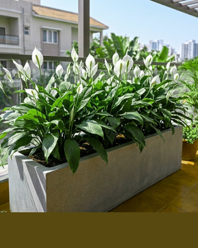 Rectangular FRP Planter PL-15 | 76x25x25 CM Main image