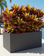 Modern Rectangular Design PL-20 | 91x61x61 CM