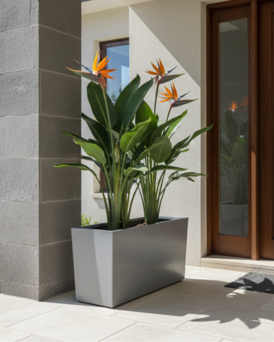 Modern Rectangular Design PL-23 |100x30x60 CM Main image